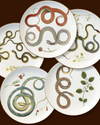 Serpente Dinner Plate | Rent